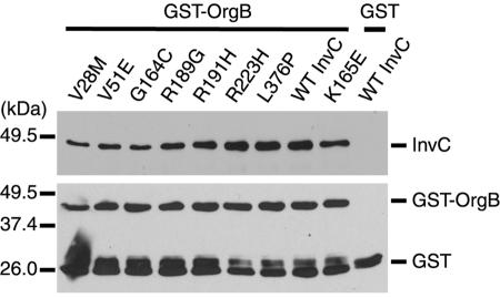 FIG. 5.