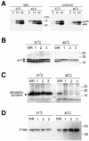 FIG. 12.