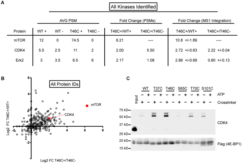 Figure 2 |