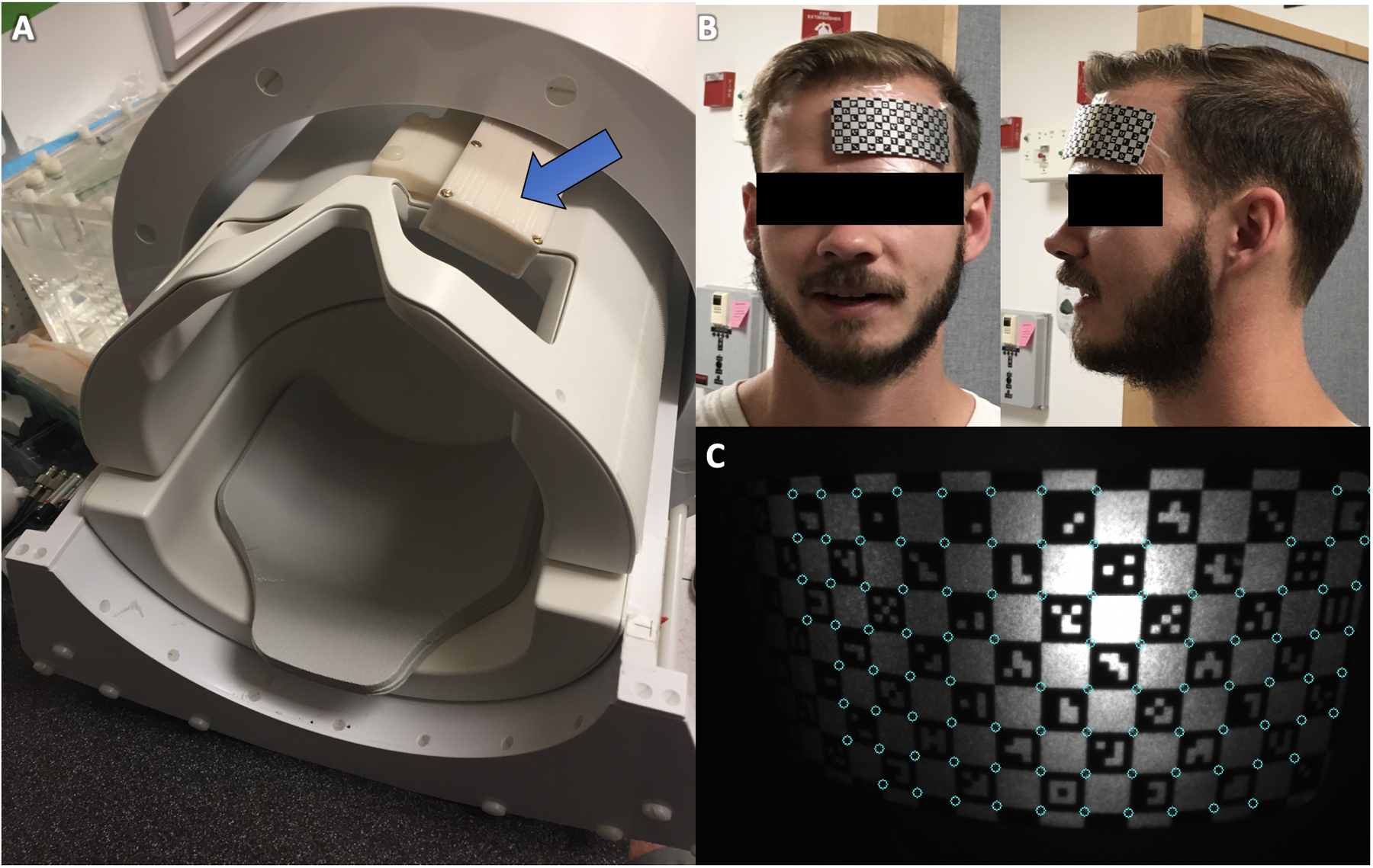 Figure 1: