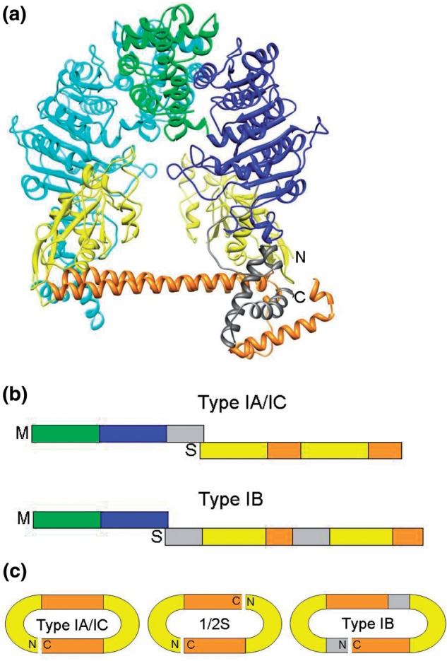 Figure 1.