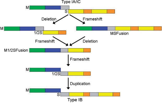 Figure 6.