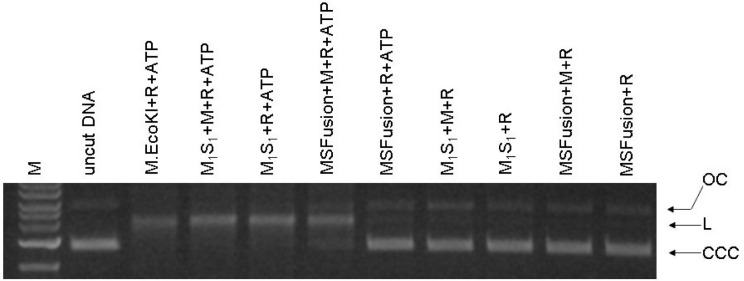 Figure 4.