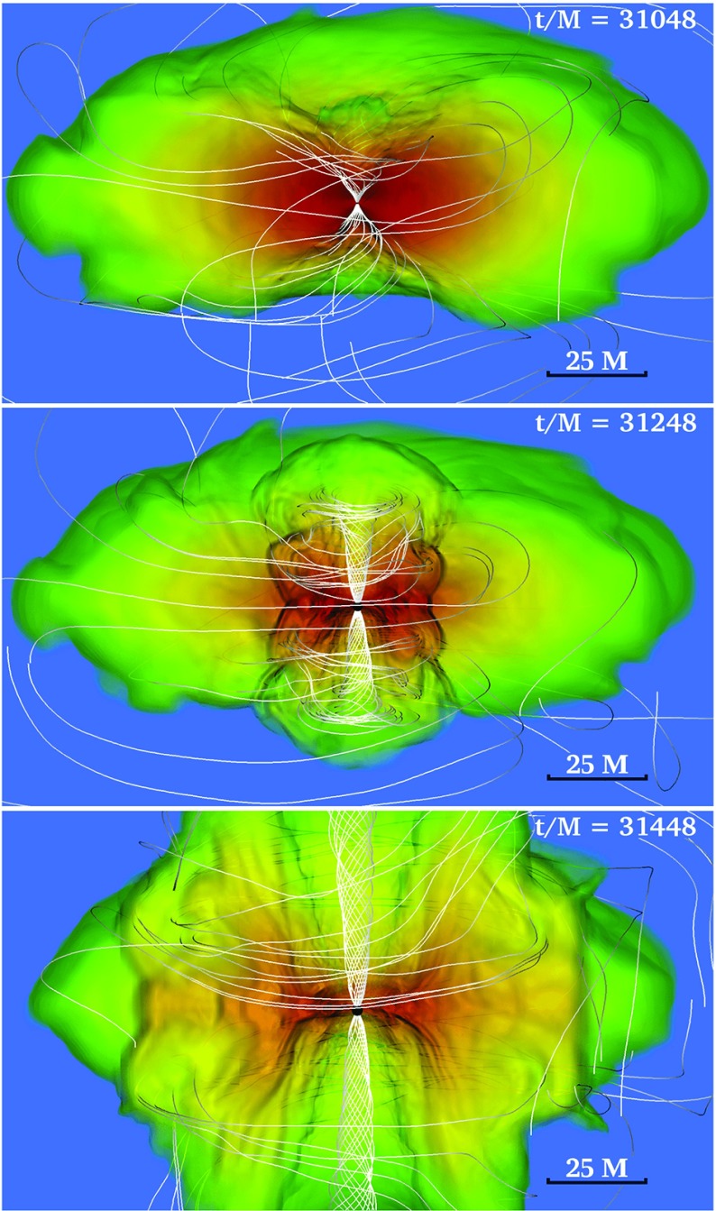 Fig. 30