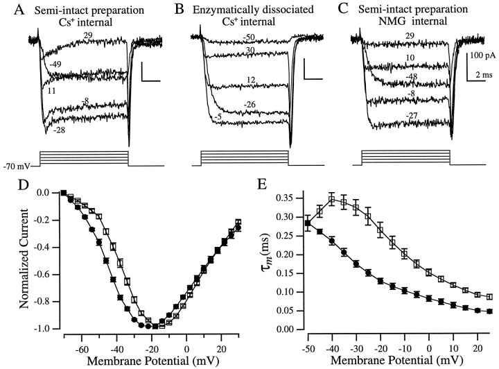 Fig. 10.