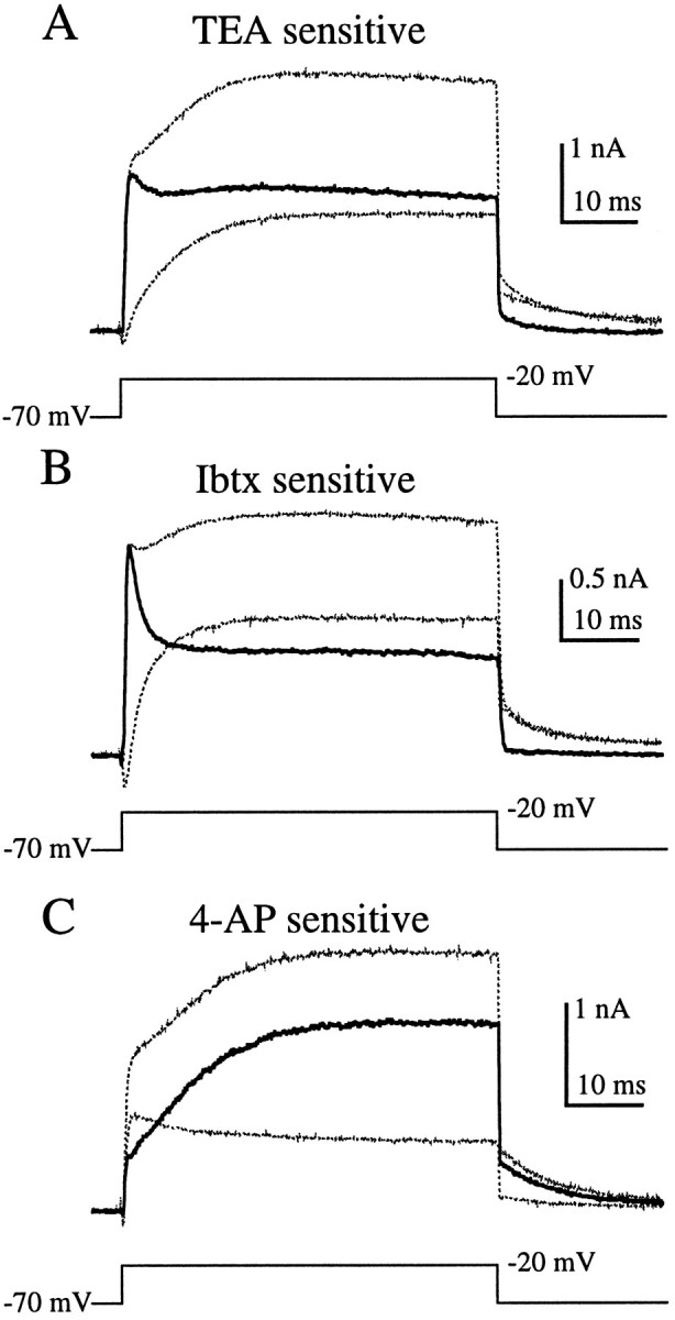 Fig. 8.