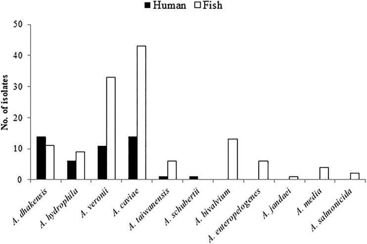 FIG 1