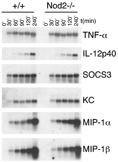 FIG. 5.