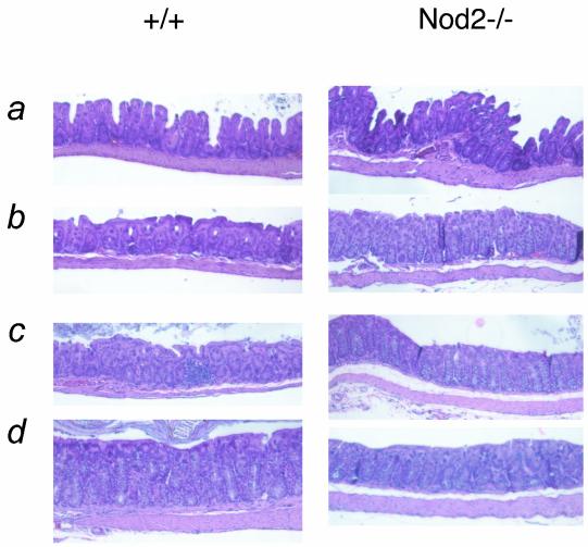 FIG. 8.