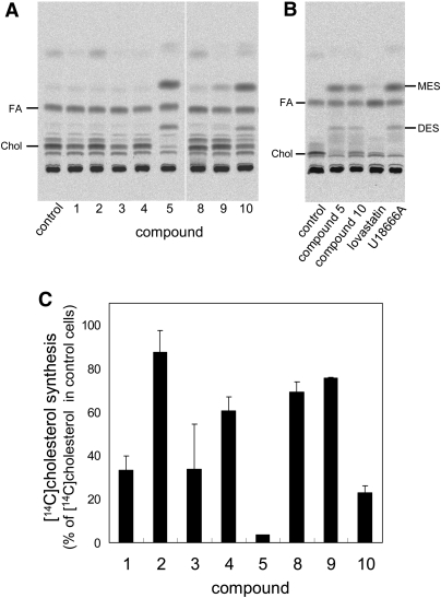 Fig. 9.