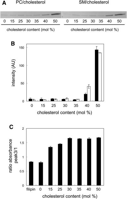 Fig.1.