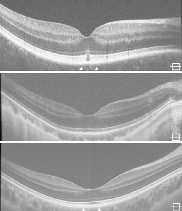 Figure 2