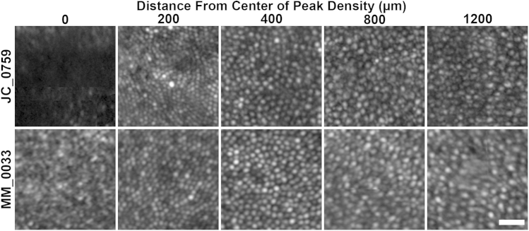 Figure 4