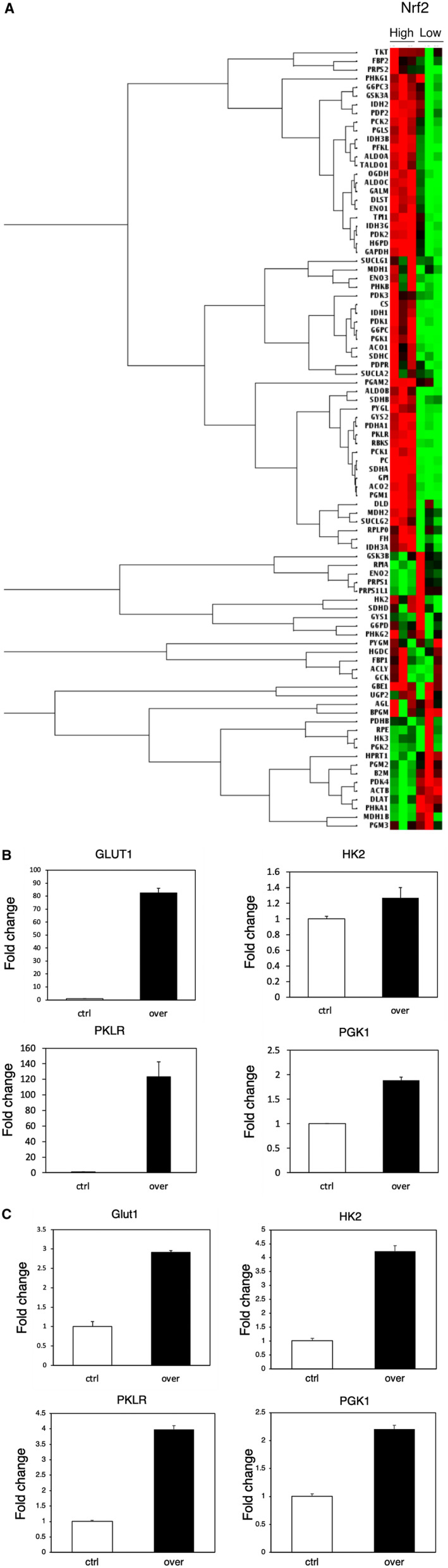 FIG. 4