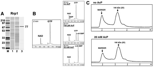 FIG. 4.