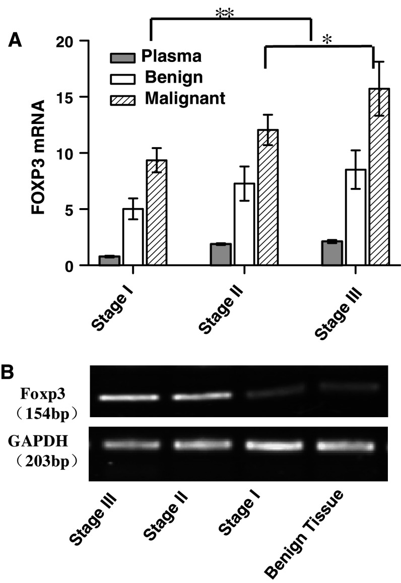 Fig. 6