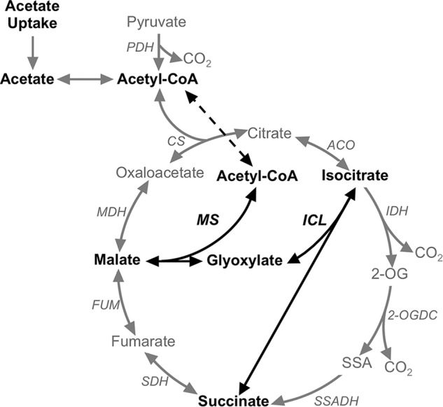 FIGURE 1.