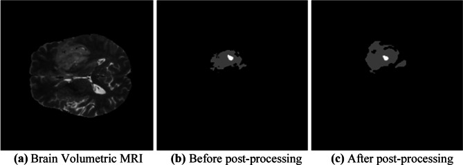 Fig. 8