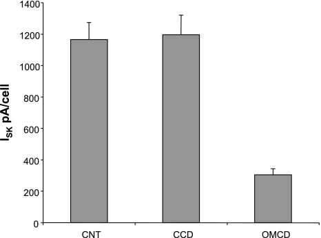 Fig. 10.