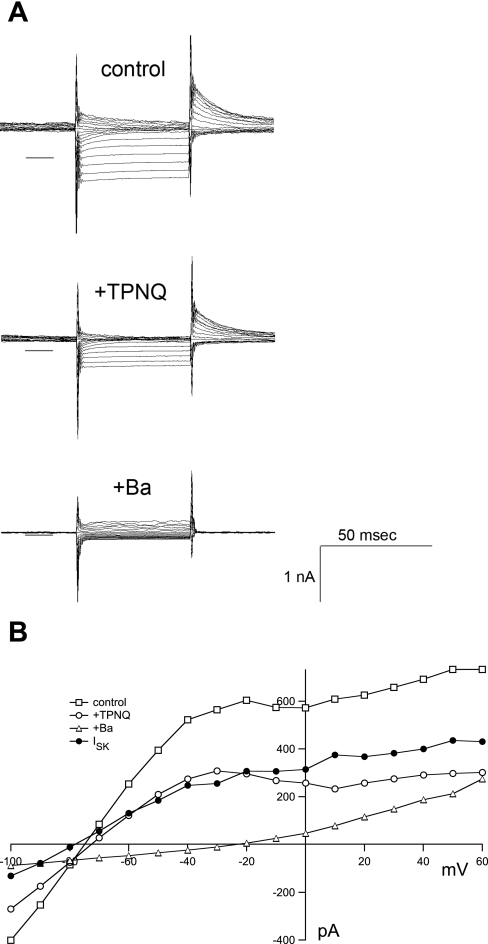 Fig. 5.