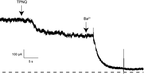 Fig. 9.