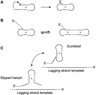 Figure 5.