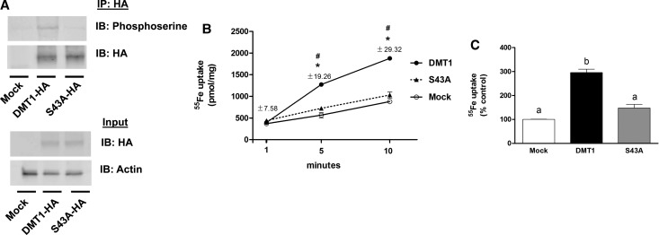 Figure 5.