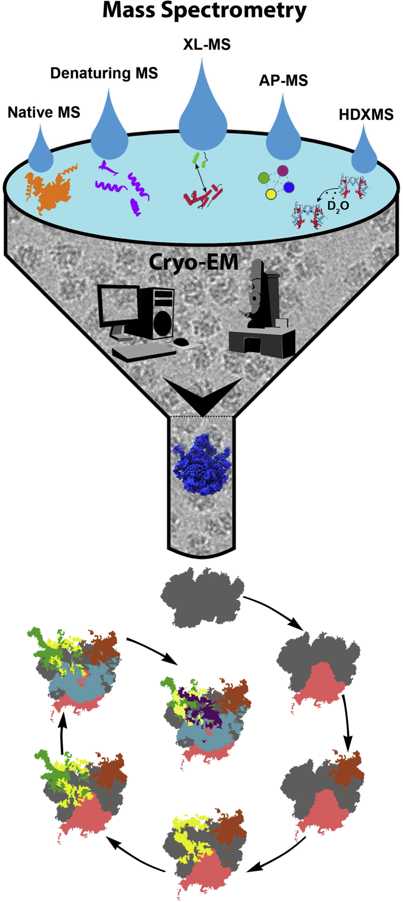 Figure 3