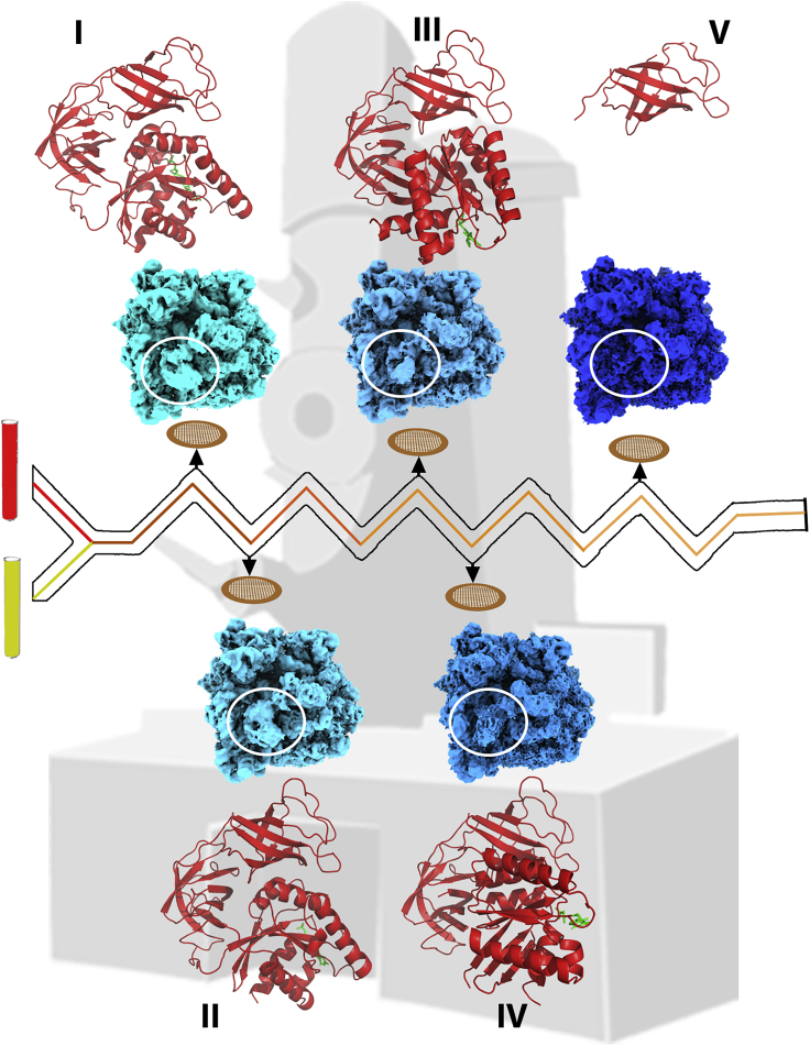 Figure 2