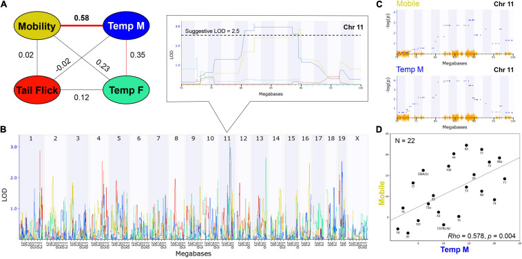 FIGURE 3