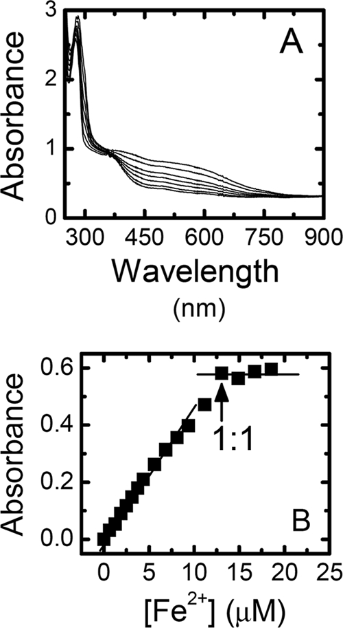 FIG. 2.