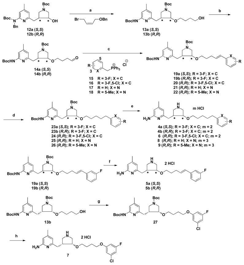 Scheme 1