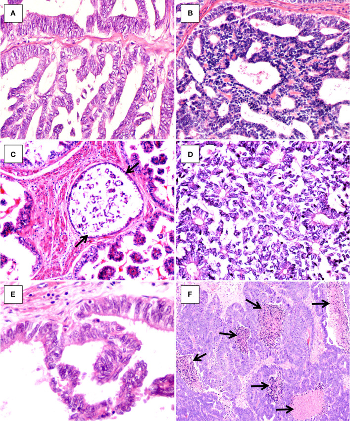 Figure 4