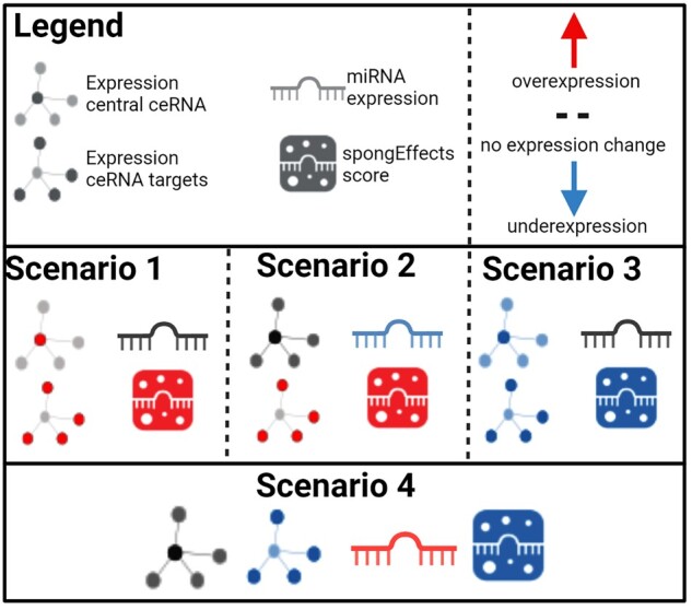 Figure 5.