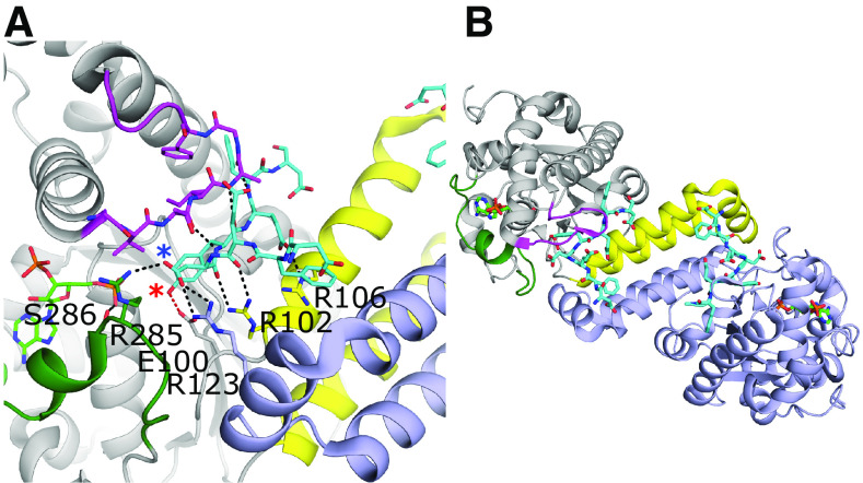 Fig. 5.