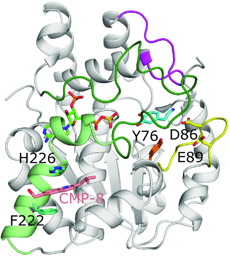 Fig. 8.