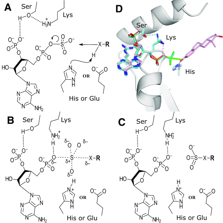 Fig. 3.