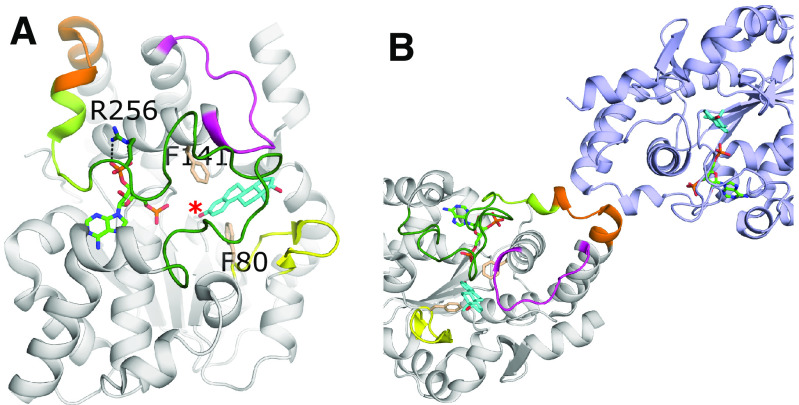 Fig. 4.