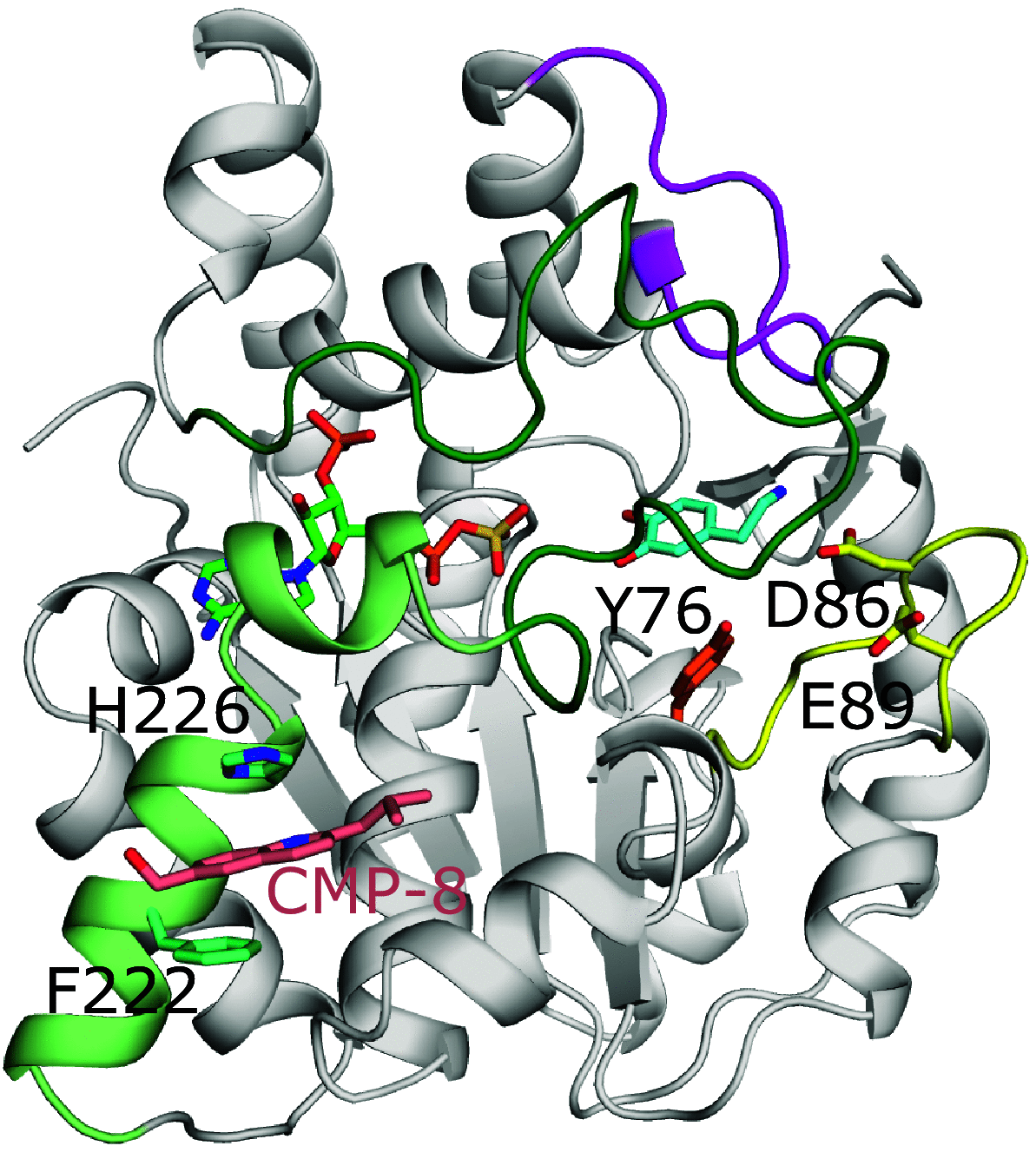 Fig. 8.