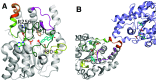 Fig. 4.