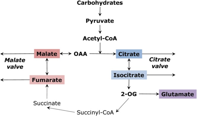 FIGURE 2