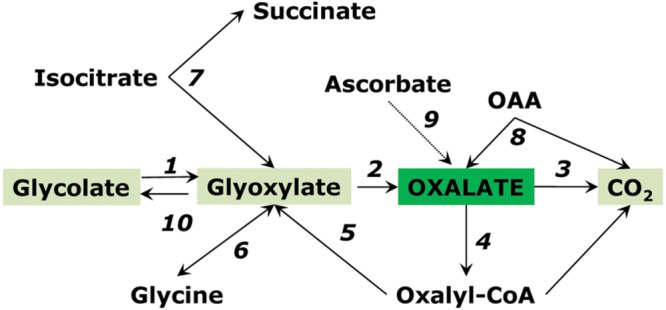 FIGURE 6