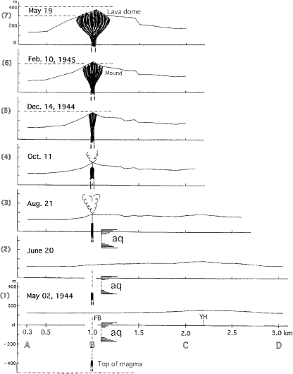 Fig. 3.