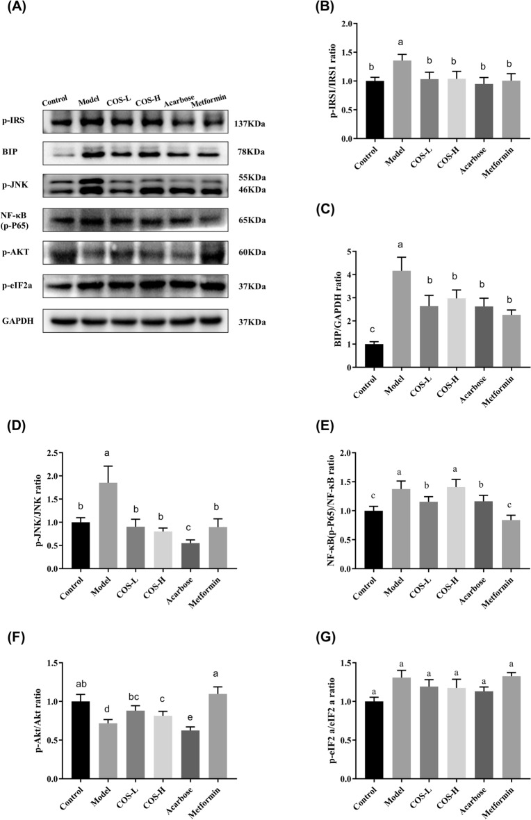 Fig. 11