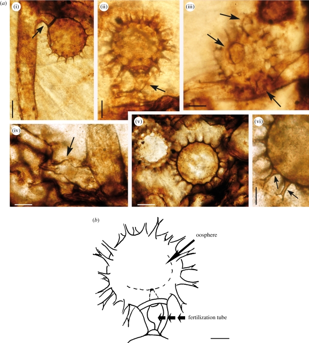 Figure 2.