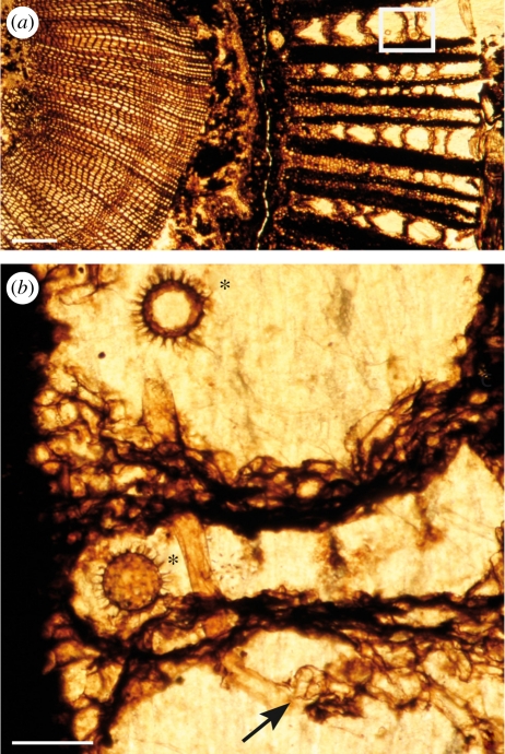 Figure 1.