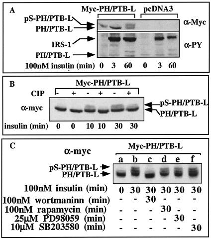 FIG. 7.