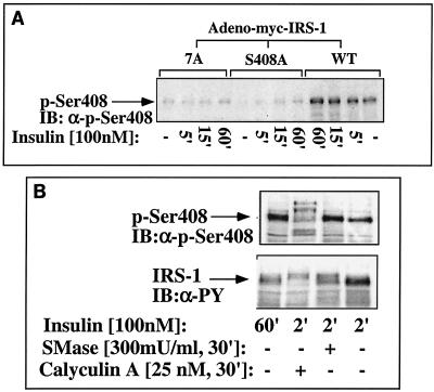 FIG. 10.