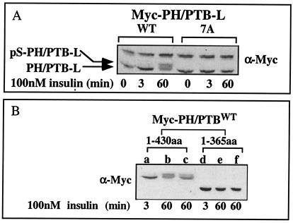 FIG. 8.