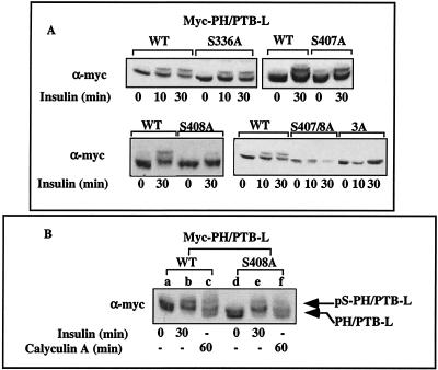 FIG. 9.